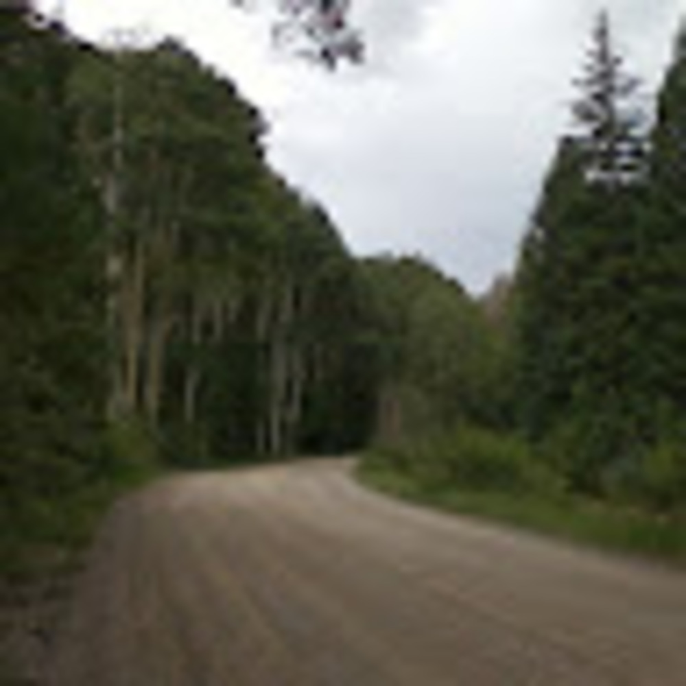 Meet your Posher, C. michæl